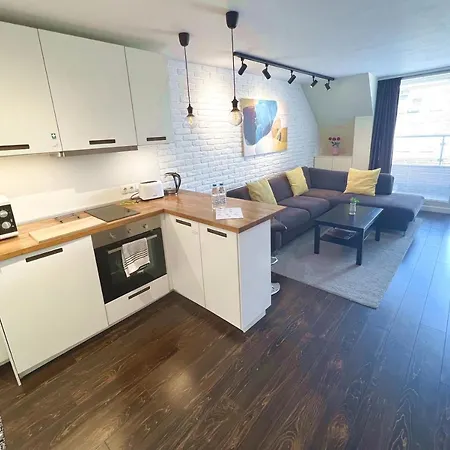 Unique Luxurious Jacuzzi Penthouse Duplex In Center! 2 Baths! Free Parking! Apartment
