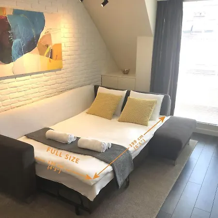 Unique Luxurious Jacuzzi Penthouse Duplex In Center! 2 Baths! Free Parking! Apartment *
