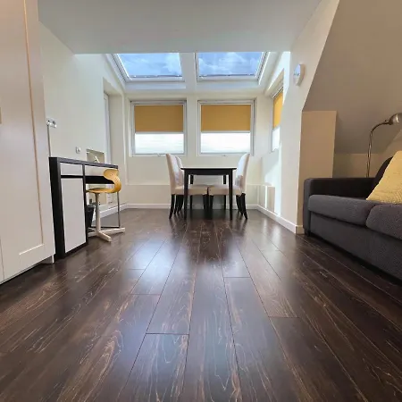 Unique Luxurious Jacuzzi Penthouse Duplex In Center! 2 Baths! Free Parking! Sofia